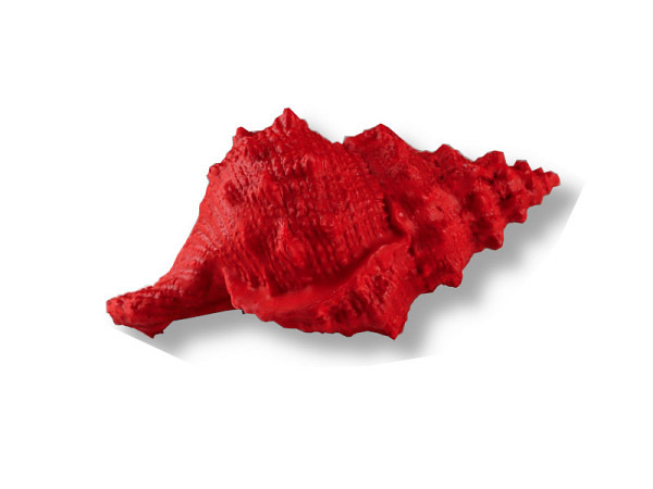 Deko Muschel Rot Poly 18cm