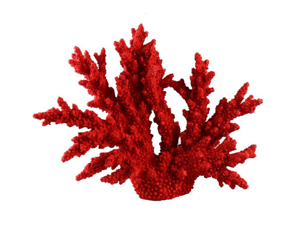 Deko Koralle Rot 34cm
