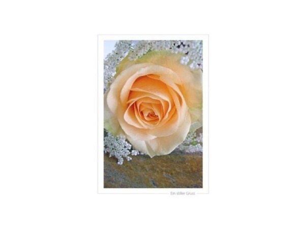Trauerkarte Satzschnur Fotografie Rose Doppelkarte A5 14,8x21cm