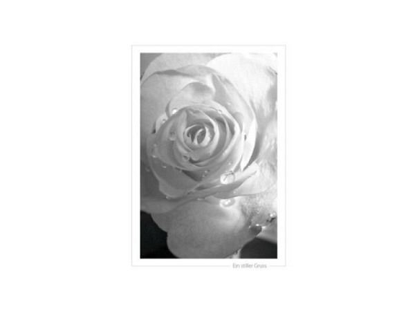 Trauerkarte Satzschnur Fotografie Rose schwarzweiss Doppelkarte A5 14,8x21cm