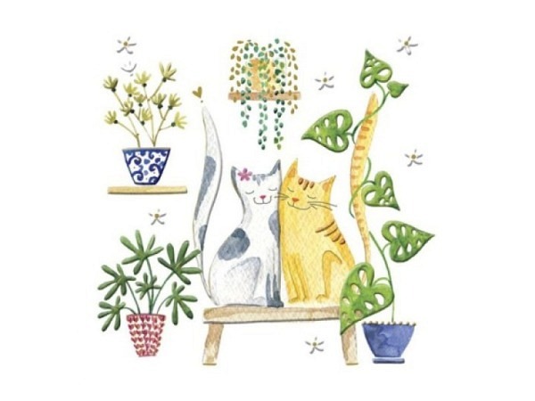 Karte Turnowsky Mini 75x75mm Katzen