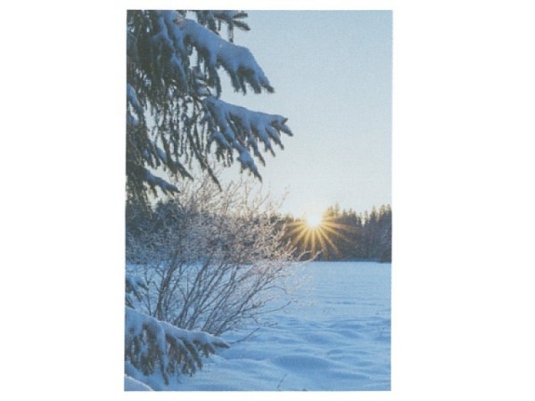 Karte Art Bula 12,2x17,5cm Schneelandschaft mit Sonnenuntergang