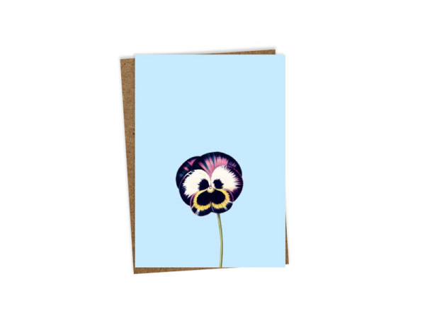 Karte 3040 Leporello Viola A6