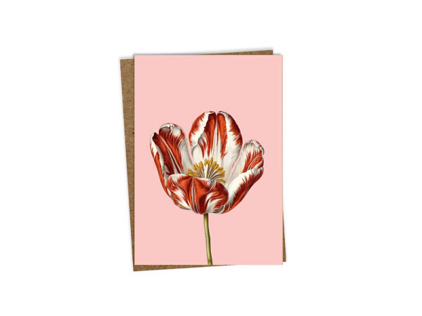 Karte 3040 Leporello Tulpe A6