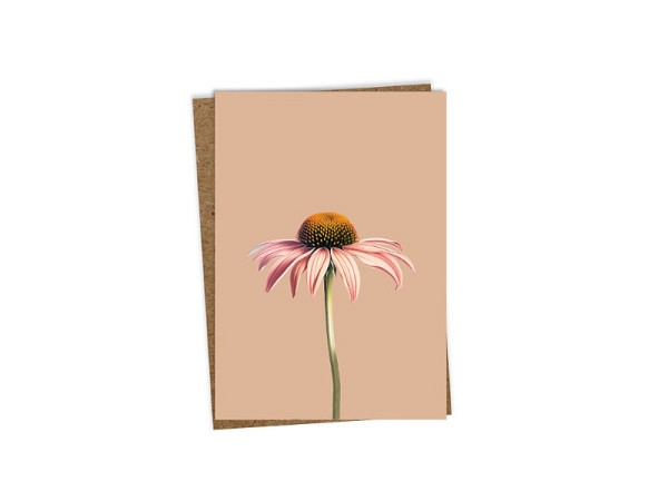 Karte 3040 Leporello Sonnenhut A6