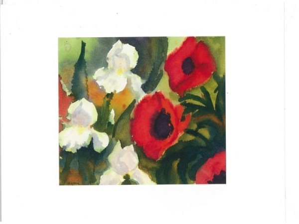 Karte Reiter Somm Franz Mohn und weisse Iris