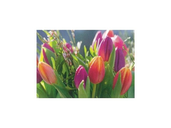 Karte Art Bula 12,2x17,5cm Tulpen in den Farben orange, lila