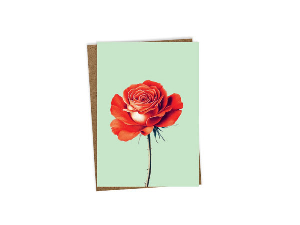 Karte 3040 Leporello Rose A6