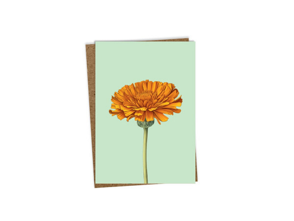 Karte 3040 Leporello Ringelblume A6
