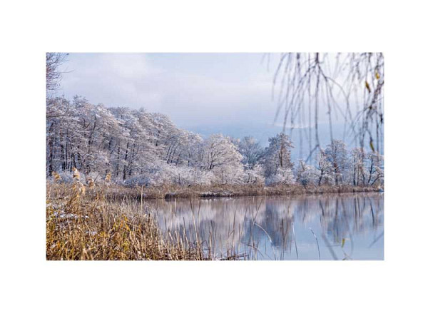 Karte Art Bula 12,2x17,5cm Winterstimmung am See