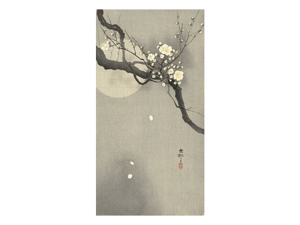 Karte Kunstverlag Koson Ohara Pflaumenblüte bei Vollmond 1900-1910 