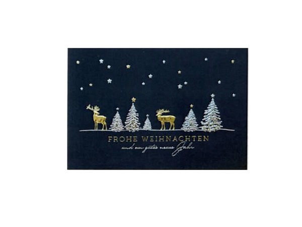 Weihnachtskartenbox Borer 5er Box Hirsche