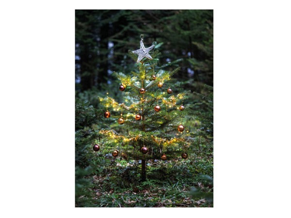 Weihnachtskarte Natur Verlag Weihnachtsbaum 