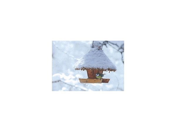 Weihnachtskarte Art Bula schneebedecktes Vogelhäuschen Mini
