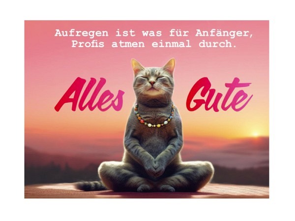 Karte Gutsch Funki Cards Katze