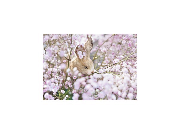 Postkarte Art Bula, Hase mit violettfarbenen Blumen 