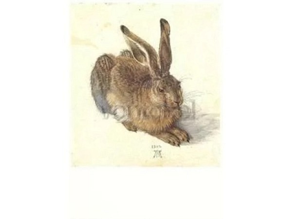 Postkarte Kunstverlag Albrecht Dürer Feldhase, 10,5x14,8cm