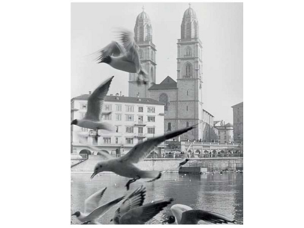 Postkarte Zürich A6 Stadt Zürich Möwen