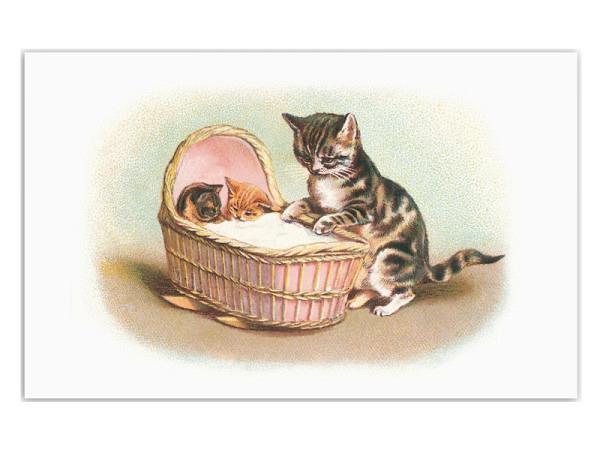 Postkarte Ludom Edition Wiege Katze