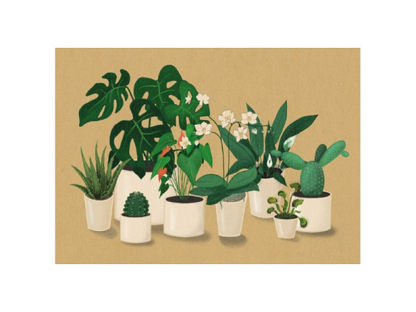 Postkarte Cart Panka Plants A6