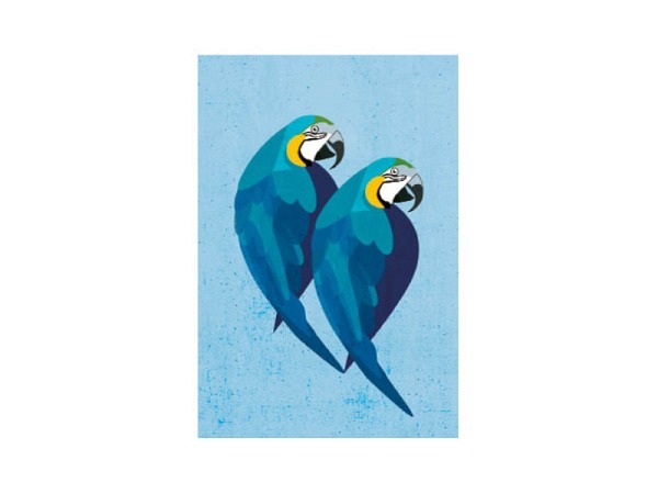 Postkarte Daria Ivanova blaue Papageien