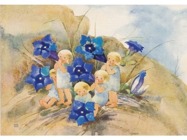 Postkarte Kunstverlag Mili Weber Enzian 10,5x14,8cm
