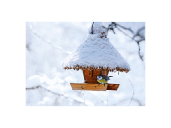 Postkarte Art Bula 10,5x14,8cm Vogelhäuschen mit Schnee