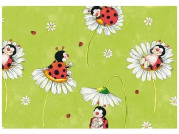Geschenkpapier Susy Card Pünktchen Marienkäfer 70cmx2m 