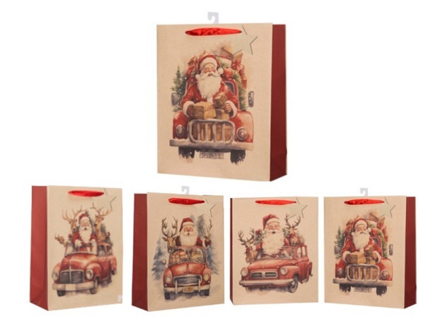 Geschenksack Gerimport Carel 18x24x8cm