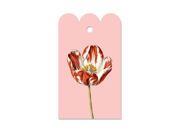 Geschenksanhänger 3040 Tulpe A8