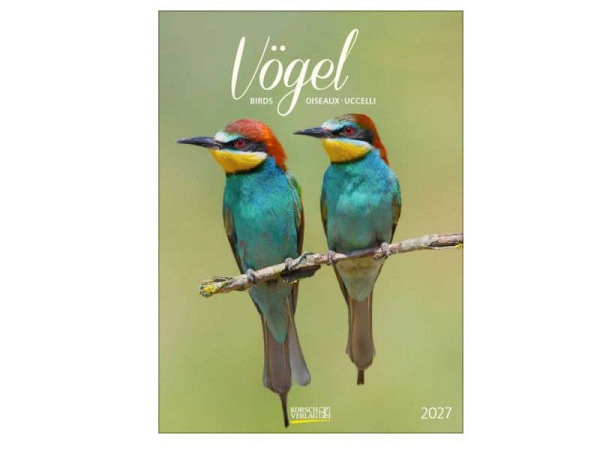 Kalender Vögel 23,5x33,5cm