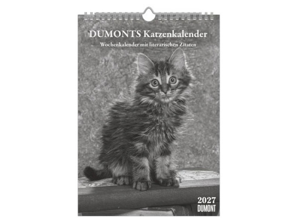 Kalender DuMonts Katzen Kalender 29,7x21cm