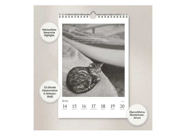 Kalender DuMonts Katzen Kalender 29,7x21cm