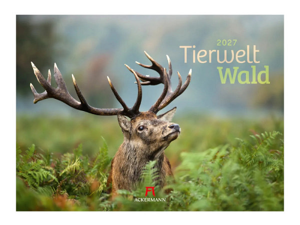 Kalender Tierwelt Wald 45x33cm