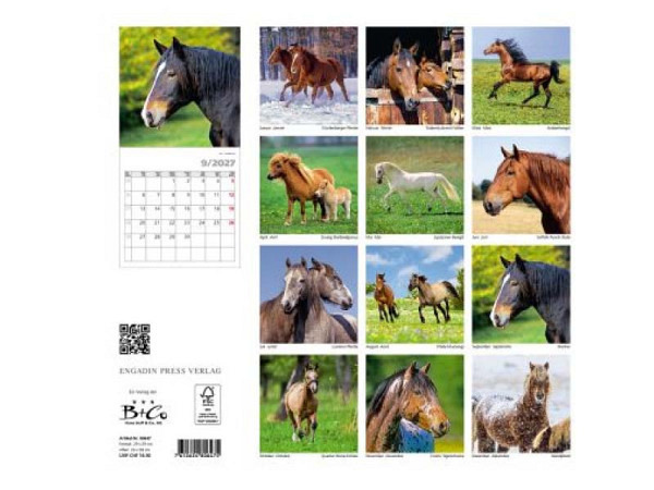 Kalender Swiss Horses, Schweizer Pferde, 29x29cm