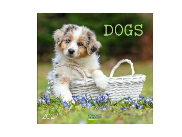 Kalender Dogs 30x30cm