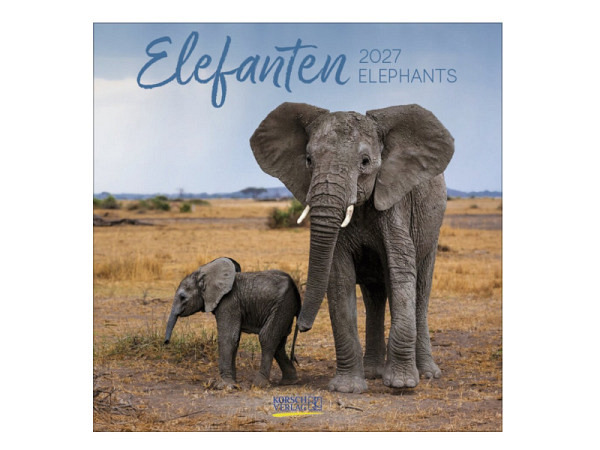Kalender Elefanten 30x30cm
