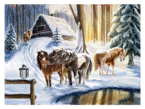 Adventskalender Coppenrath Winterpferde 