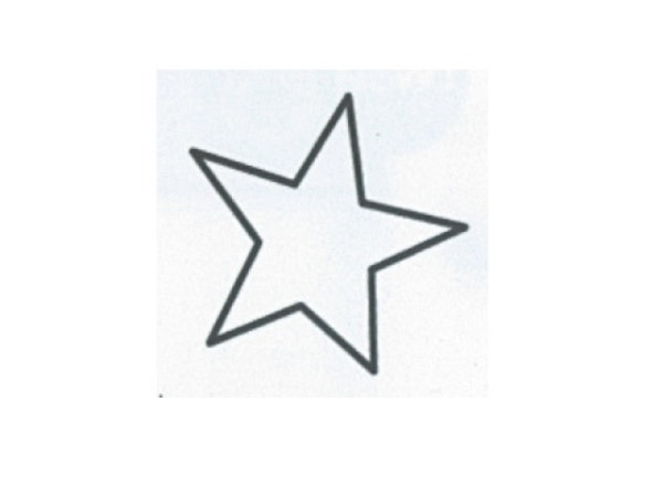 Stempel PaperPoetry Stern