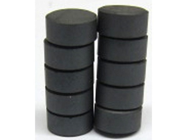 Magnet Bottsa Rohmagnet rund 10mm 10 Stk.