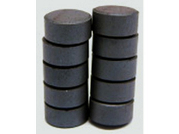 Magnet Bottsa Rohmagnet rund 14mm 10 Stk.,