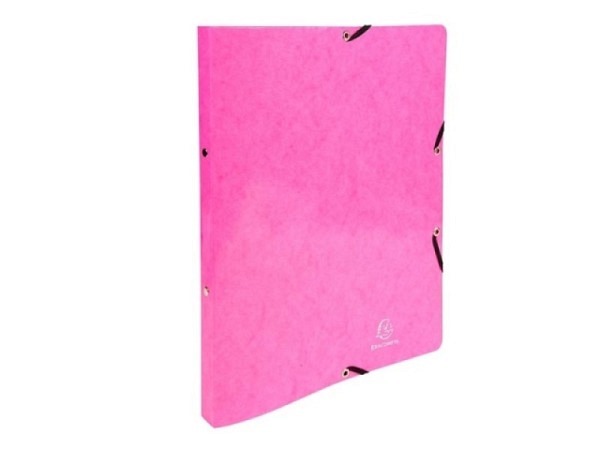 Ringbuch Exacompta Iderama A4 2-Ringe rosa