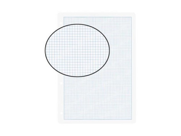 Ringbucheinlage Biella A4 kariert 4mm mit Rand, 100Blatt