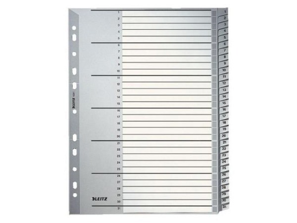 Register Leitz Kunststoff grau A4 1-31