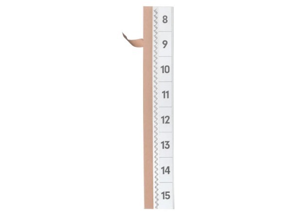 Beschriftungsfenster Durable Tabfix zweizeilig 10mm hoch