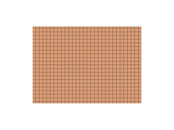 Karteikarten Exacompta A6 kariert orange, 100 Karten 