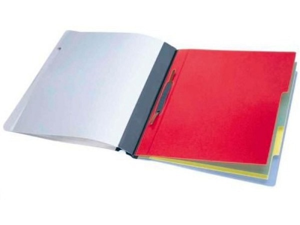 Schnellhefter Durable Divisoflex mit blauem Seitenrand