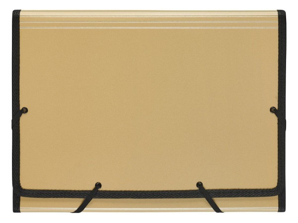 Fächermappe Kolma Daily Bliss gold