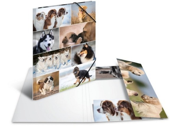 Pendenzenmappe Herma Karton A4 Hunde