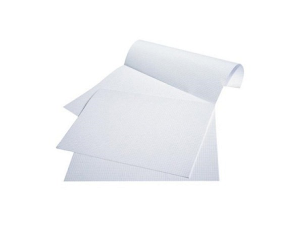 Notizpapier Papyrus Schreibpapier A4x2 Doppelbogen blanco